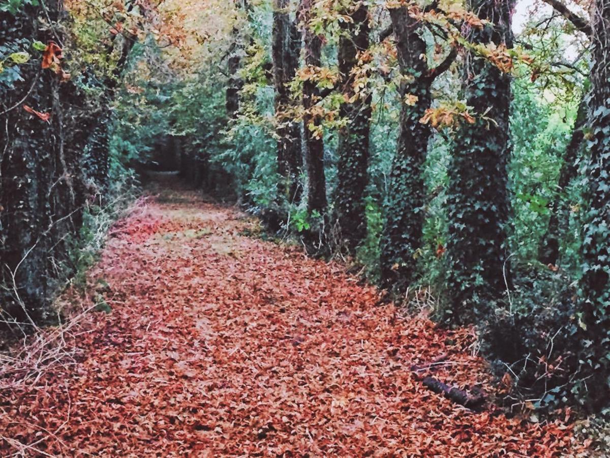 Gites Les Demeures De Valette Azay-le-Brule Dış mekan fotoğraf